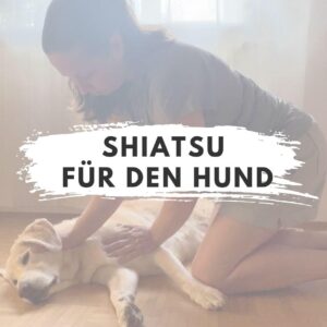 Shiatsu 27./28. Sept.