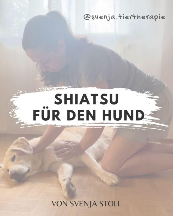 Shiatsu 27./28. Sept.