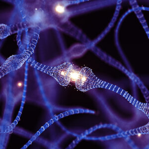 Neurologie (PfingstMONTAG 25.05.26)