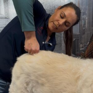 Chiro-Intens (2 Tage Köln)